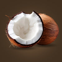 Cashew